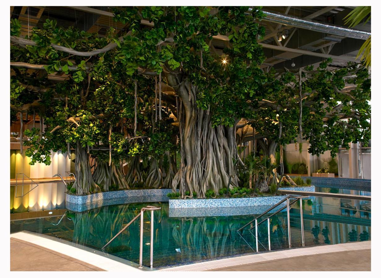 Amazonia Apartments Temešvár Exteriér fotografie