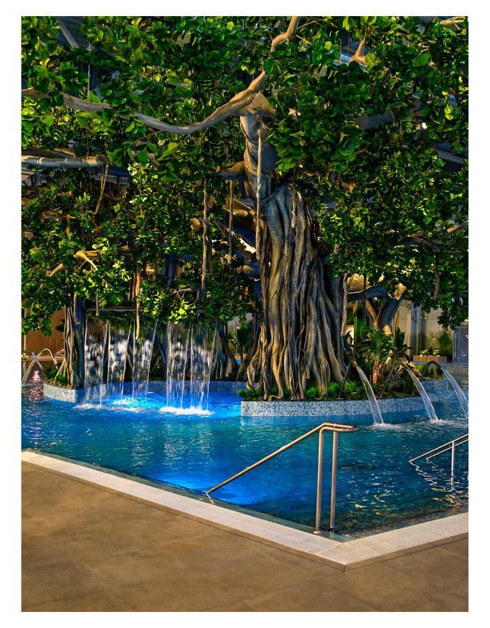 Amazonia Apartments Temešvár Exteriér fotografie